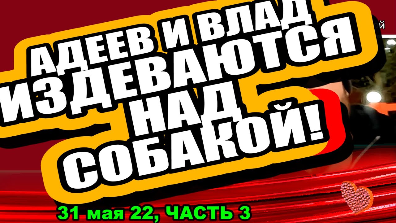 Sobaka-POSTRADALA-iz-za-dejstvij-uchastnikov-Dom-2-Novosti-i-Sluhi-31.05.2022-CHAST-3