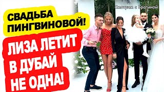 Gold-byla-samoj-krasivoj-na-SVADBE-Pingvinovoj-S-kem-Liza-LETIT-v-DUBAJ-DOM-2-Novosti-15.08.23